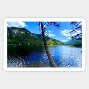 Buena Vista Lake Colorado Sticker